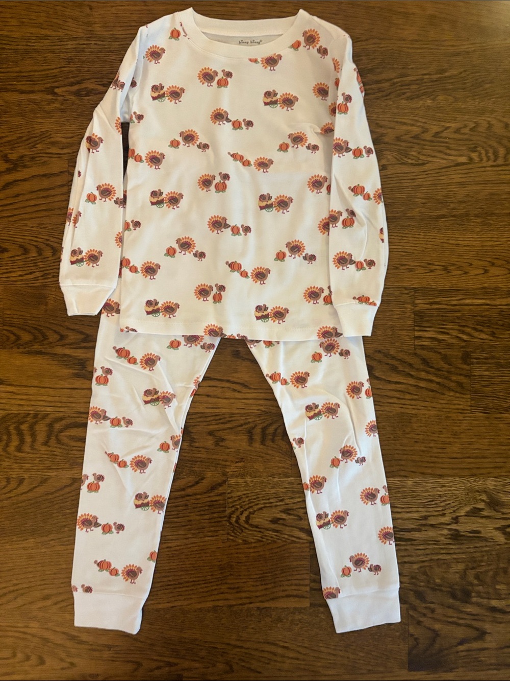 Kissy Kissy Pajama Set with Orange Thanksgiving Print